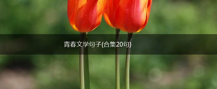 青春文学句子(合集20句),第1张