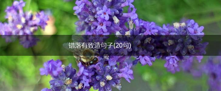 错落有致造句子(20句),第1张