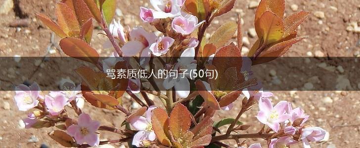 骂素质低人的句子(50句),第1张