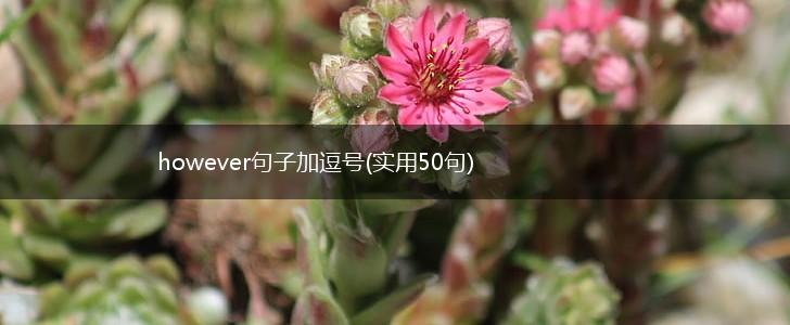 however句子加逗号(实用50句),第1张
