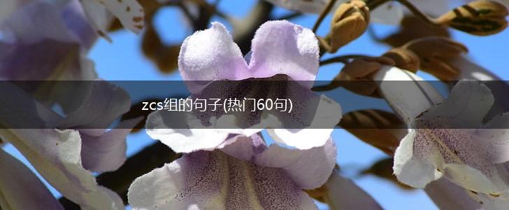 zcs组的句子(热门60句),第1张