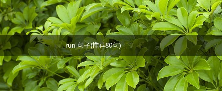 run 句子(推荐80句),第1张