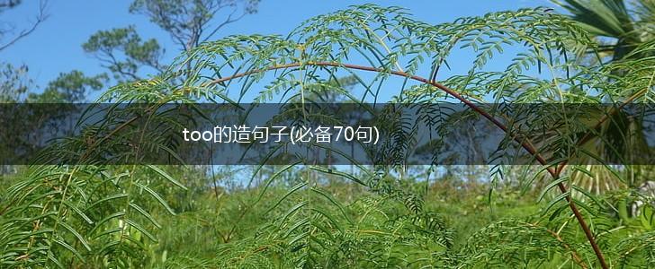too的造句子(必备70句),第1张