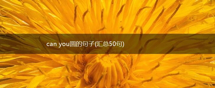 can you圆的句子(汇总50句),第1张