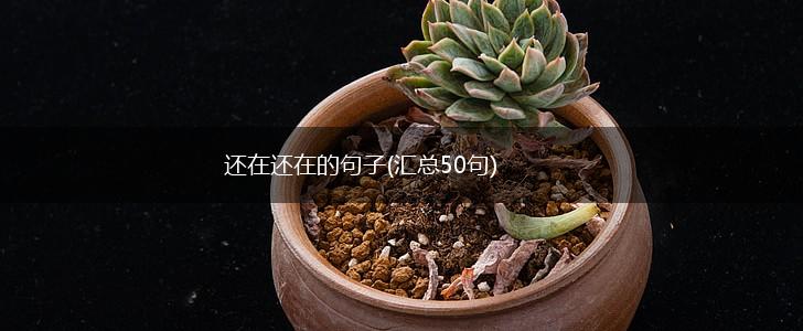还在还在的句子(汇总50句),第1张
