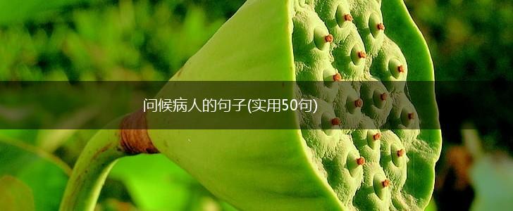 问候病人的句子(实用50句),第1张