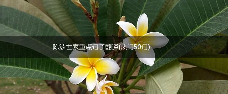 陈涉世家重点句子翻译(热门50句),第1张
