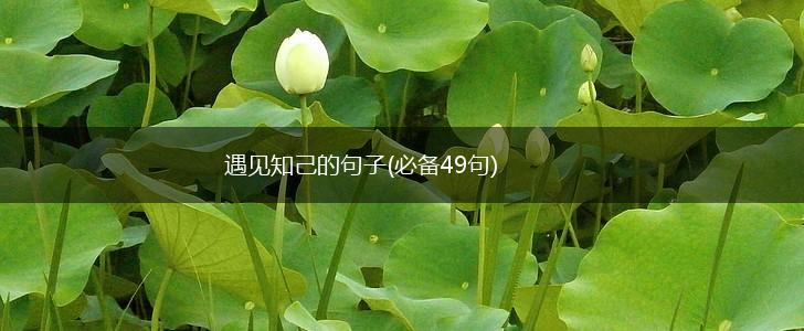 遇见知己的句子(必备49句),第1张