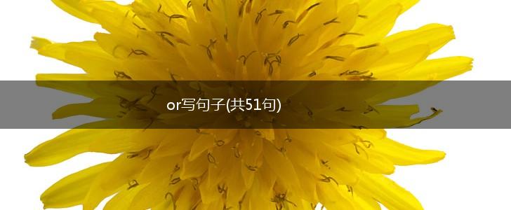or写句子(共51句),第1张