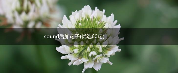 sound后加句子(优选60句),第1张