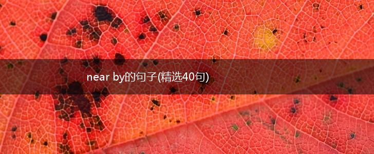 near by的句子(精选40句),第1张