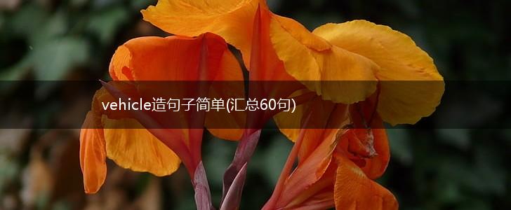 vehicle造句子简单(汇总60句),第1张