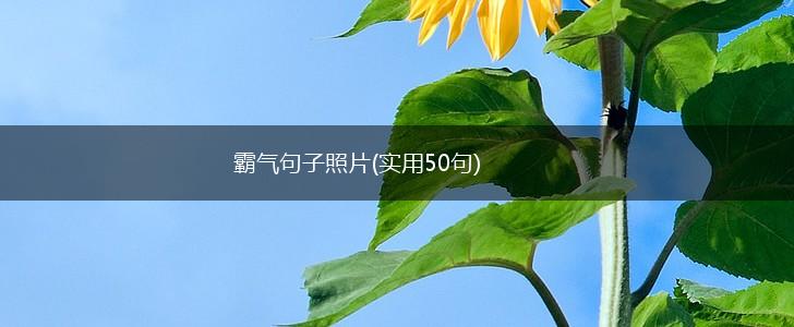 霸气句子照片(实用50句),第1张