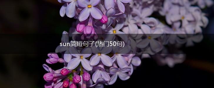 sun简短句子(热门50句),第1张
