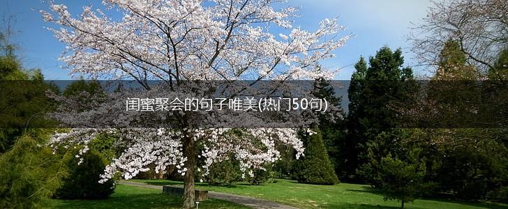 闺蜜聚会的句子唯美(热门50句),第1张