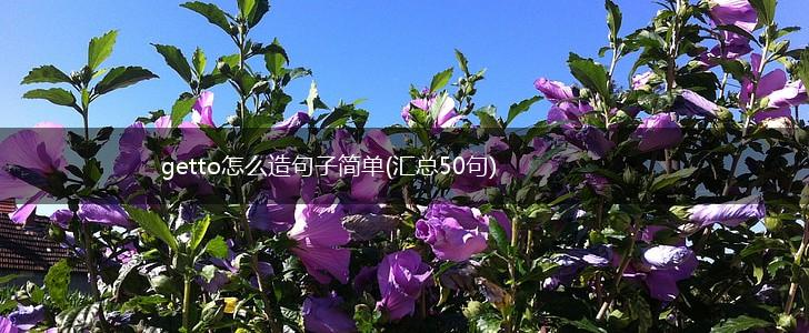getto怎么造句子简单(汇总50句),第1张