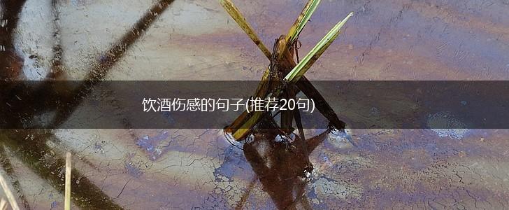 饮酒伤感的句子(推荐20句),第1张