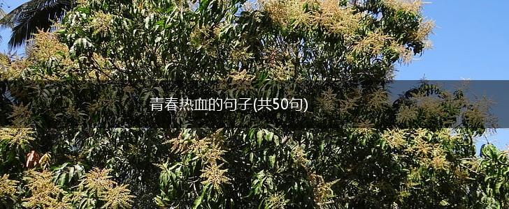 青春热血的句子(共50句),第1张