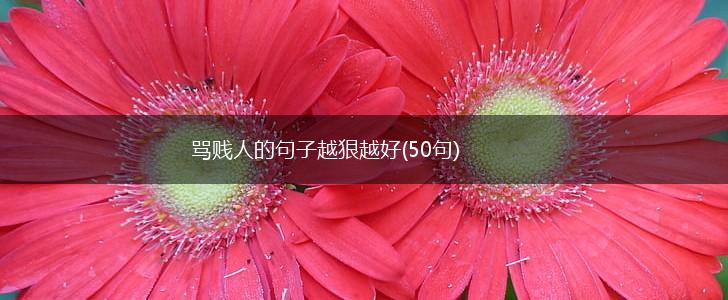 骂贱人的句子越狠越好(50句),第1张