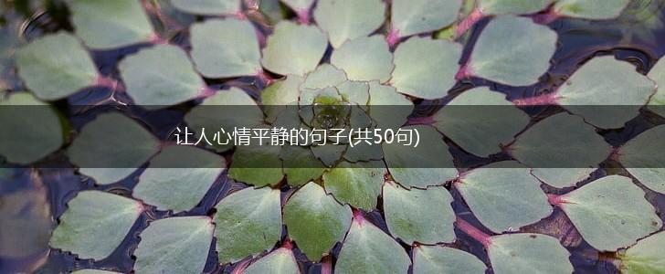 让人心情平静的句子(共50句),第1张
