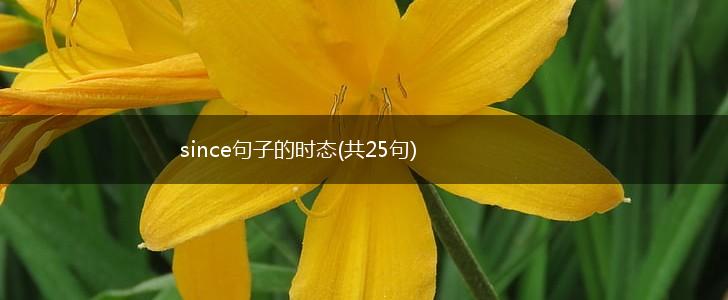 since句子的时态(共25句),第1张