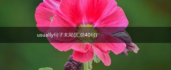 usually句子末尾(汇总40句),第1张