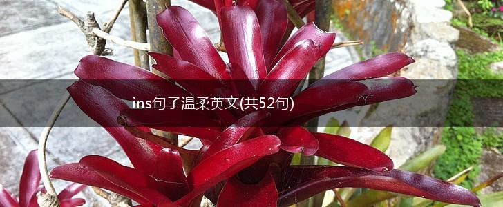 ins句子温柔英文(共52句),第1张