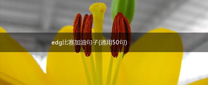 edg比赛加油句子(通用50句),第1张