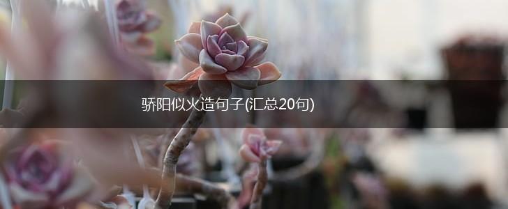 骄阳似火造句子(汇总20句),第1张