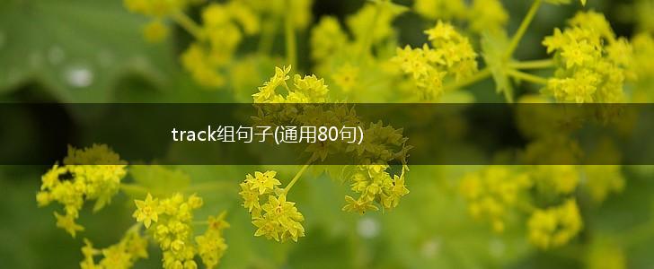 track组句子(通用80句),第1张