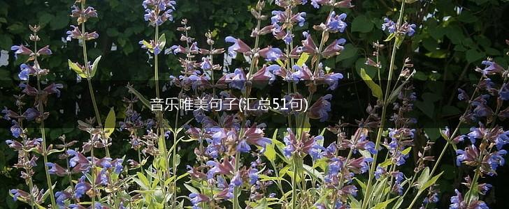音乐唯美句子(汇总51句),第1张