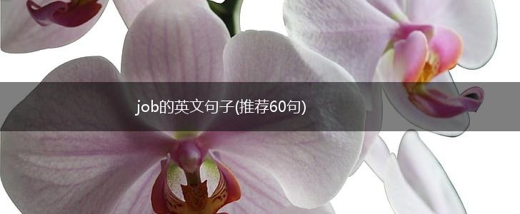job的英文句子(推荐60句),第1张