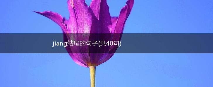 jiang结尾的句子(共40句),第1张