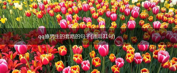 qq撩男生的套路的句子(通用31句),第1张
