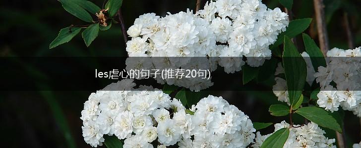 les虐心的句子(推荐20句),第1张