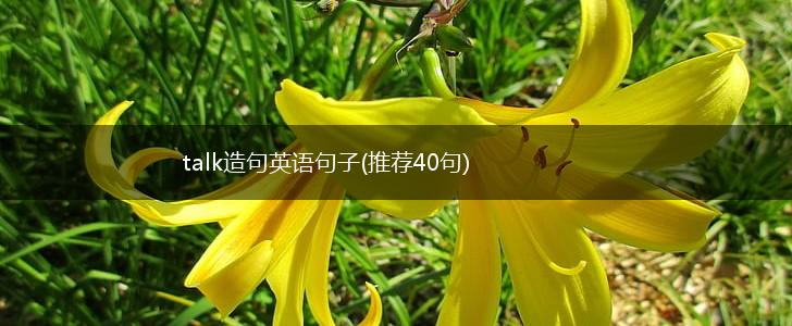 talk造句英语句子(推荐40句),第1张