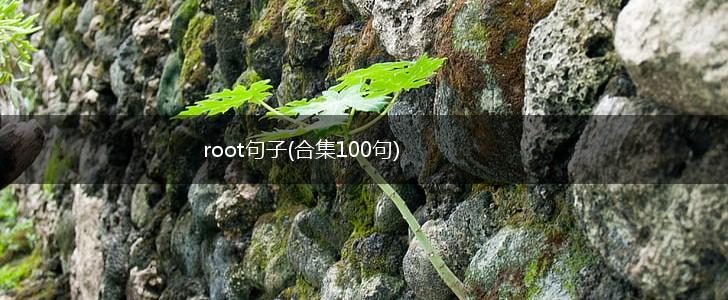 root句子(合集100句),第1张