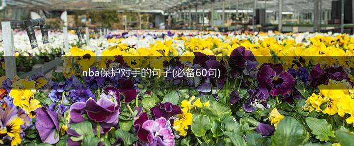 nba保护对手的句子(必备60句),第1张