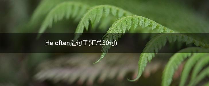 He often造句子(汇总30句),第1张