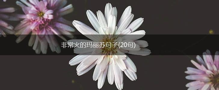 非常火的玛丽苏句子(20句),第1张