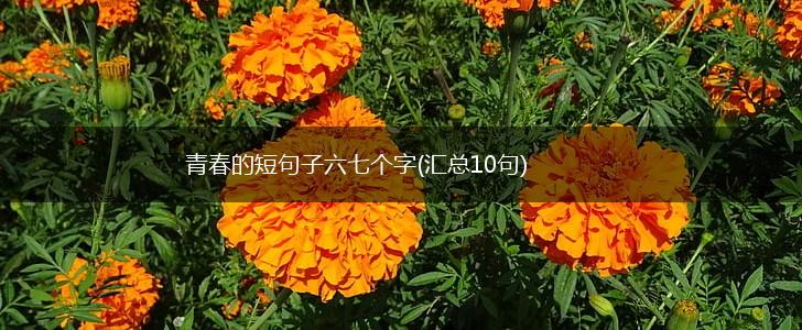 青春的短句子六七个字(汇总10句),第1张