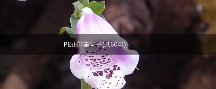 PE正能量句子(共60句),第1张