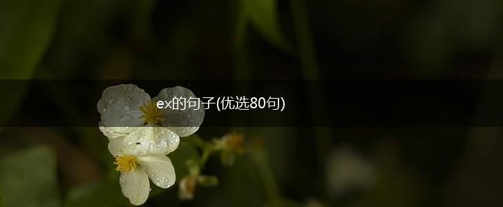 ex的句子(优选80句),第1张
