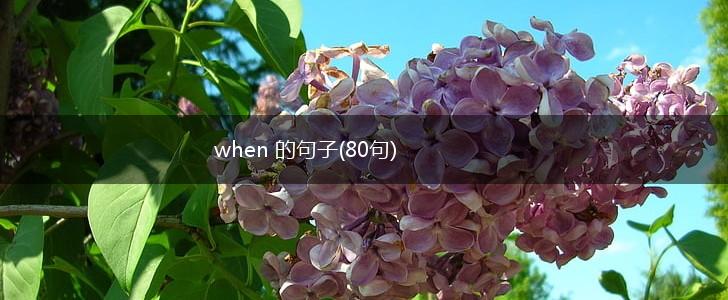 when 的句子(80句),第1张
