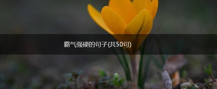 霸气强硬的句子(共50句),第1张