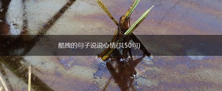 酷拽的句子说说心情(共50句),第1张