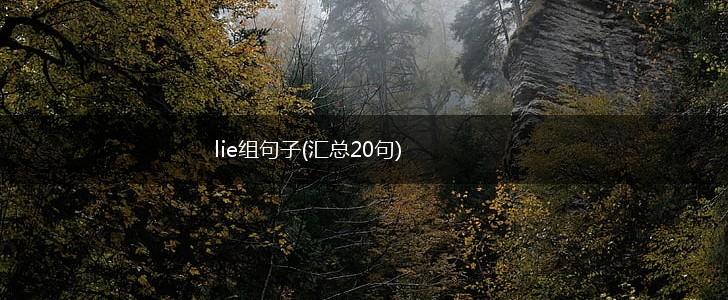 lie组句子(汇总20句),第1张