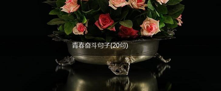 青春奋斗句子(20句),第1张
