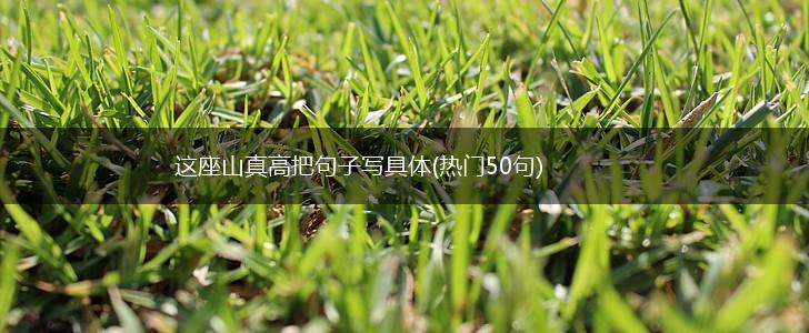 这座山真高把句子写具体(热门50句),第1张
