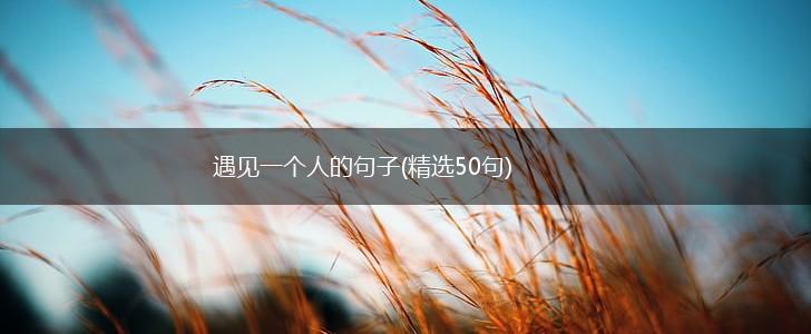 遇见一个人的句子(精选50句),第1张